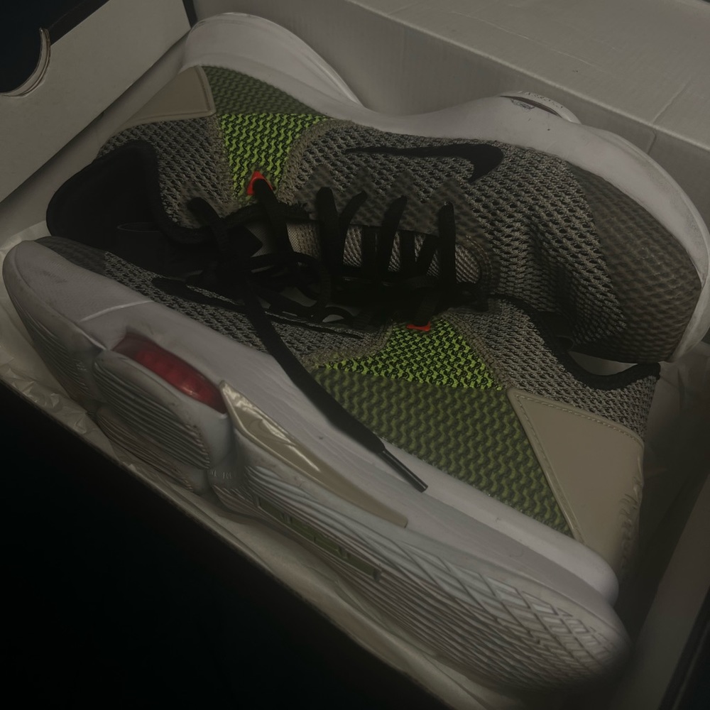 Nike Lebron Witness IV